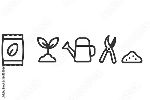 Gardening essentials for planting seeds in spring season in a home garden