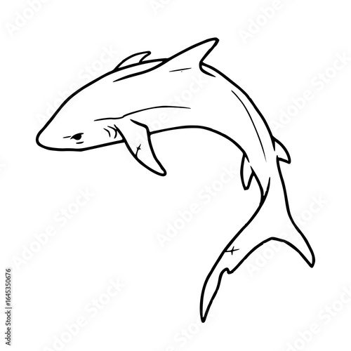 predatory shark outline for coloring book