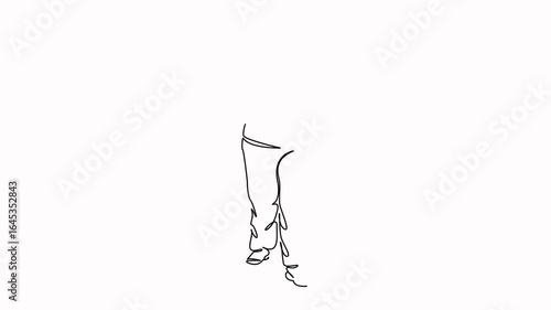 Self drawing animation of one continuous line. Hand drawn animated illustration. person, sport, adult, walking, lifestyle, woman, exercising, hiking pole, nordic walking