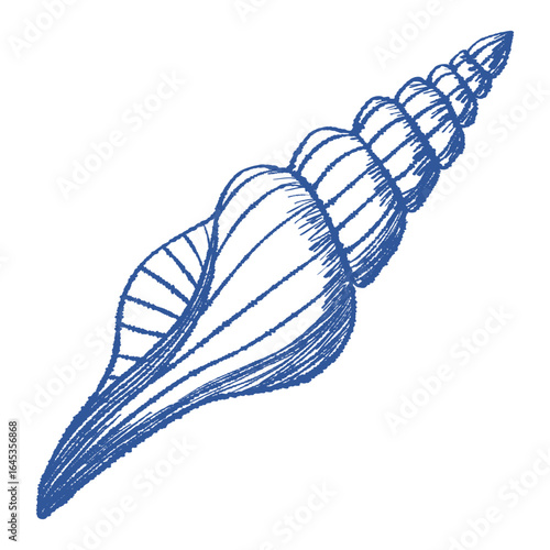 Spiral sea shell textured hand drawn vector art. Mediterranean blue ink line bivalve mollusk. Icon contour symbol for summer, home decor, vacation print, stickers, tag, logo