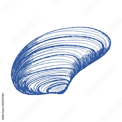 Sea shell scallop, textured ink hand drawn vector art. Mediterranean blue line bivalve mollusk. Icon contour symbol for branding, home decor, notebook covers, apparel print, stickers, tag, logo