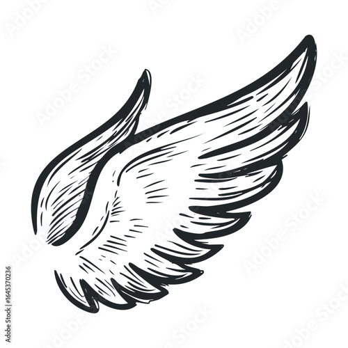 Elegant hand drawn wing design for art and creative projects