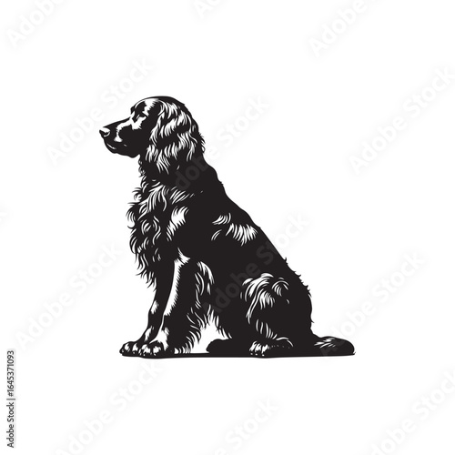 Golden Setter Silhouette - Minimalist Golden Setter Vector - Illustration of Golden setter.