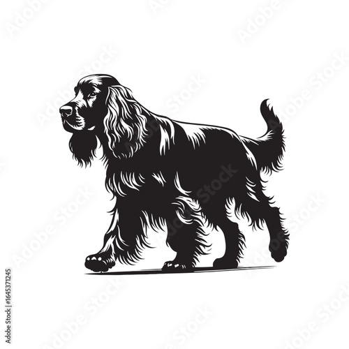 Golden Setter Silhouette - Minimalist Golden Setter Vector - Illustration of Golden setter.