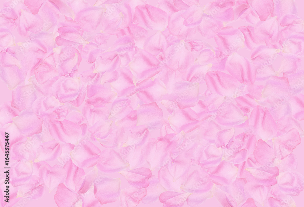 Fototapeta premium Rug of pink roses petals background