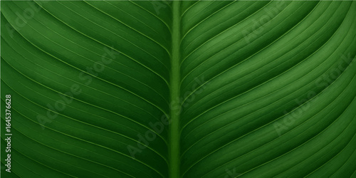 Macro photo of a vibrant green leaf's intricate texture and vein pattern, showcasing nature's fresh foliage