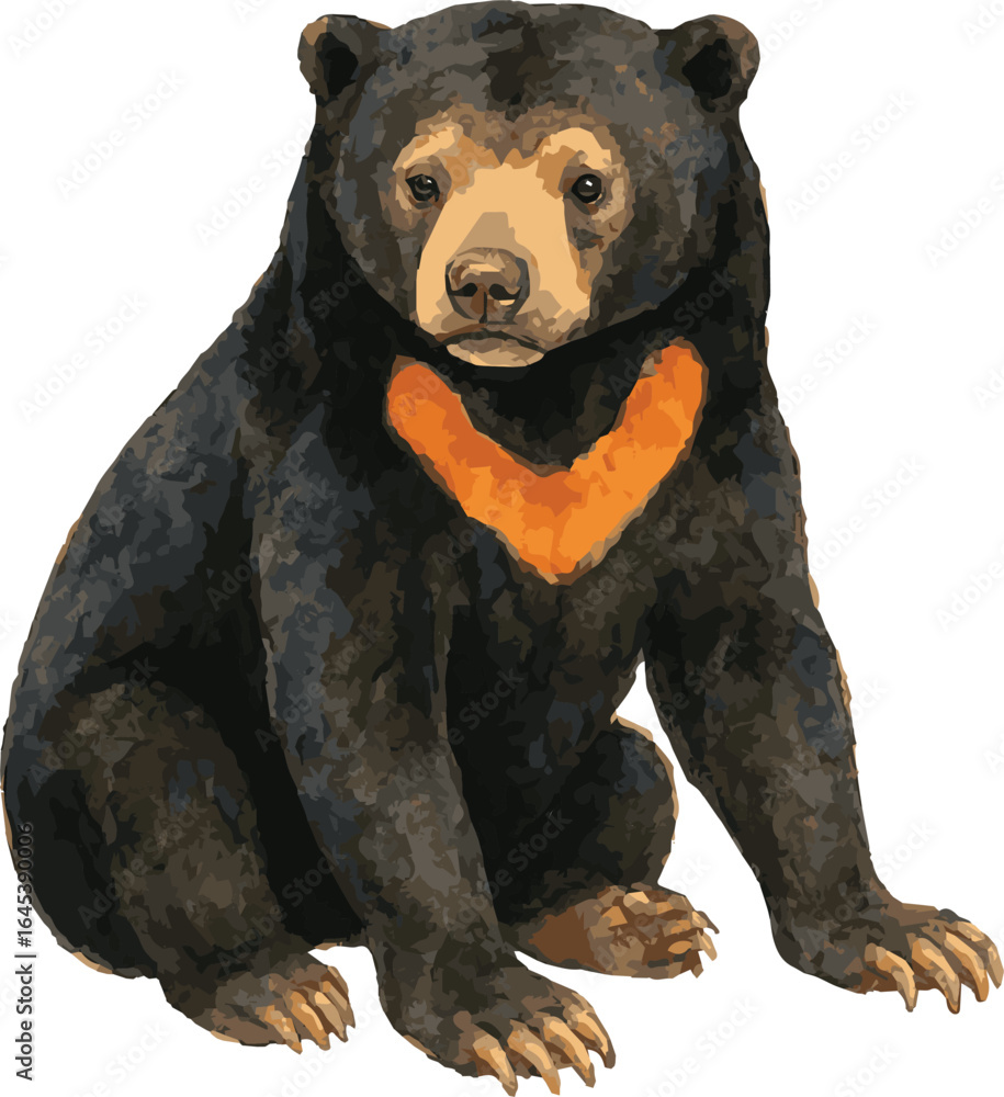 Obraz premium Vector adorable watercolor illustration of a sun bear