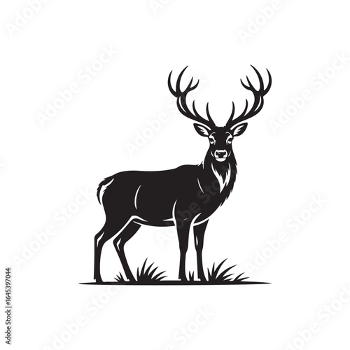 Majestic stag with antlers standing in grass isolated on white background