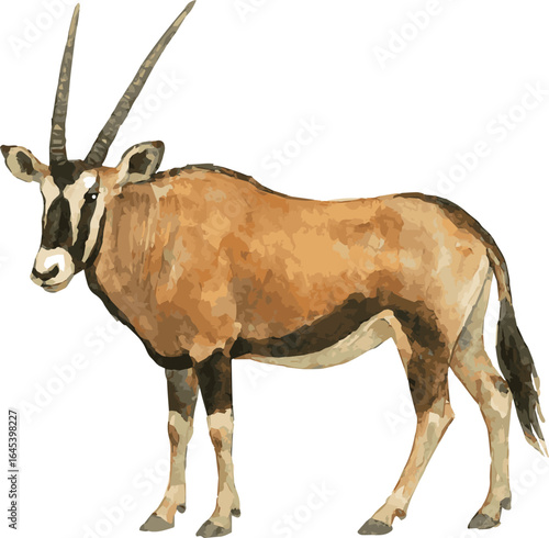 Vector watercolor realistic illustration of an oryx