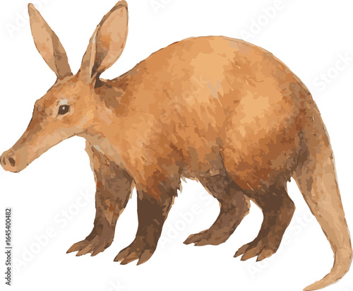 Vector watercolor realistic illustration of an aadvark