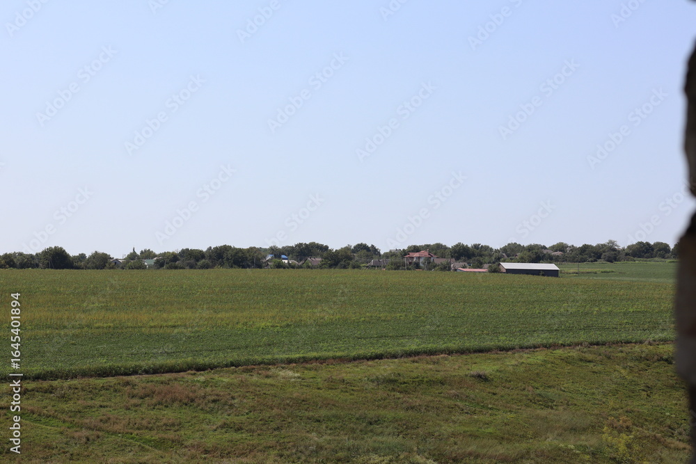 Fototapeta premium Vast green fields and distant farmhouses under a clear blue sky in rural landscape during midday