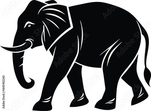 Vector illustration of a walking wild elephant with large tusks, a big trunk, and a white silhouette