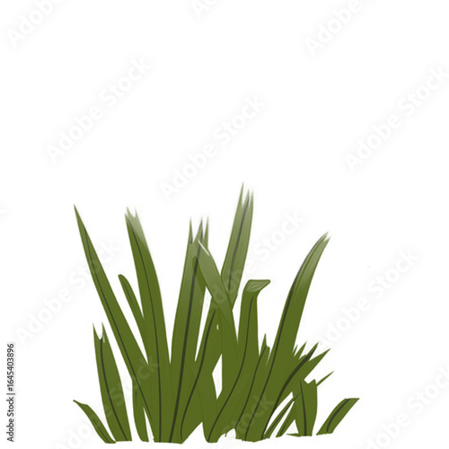 green grass isolated on white