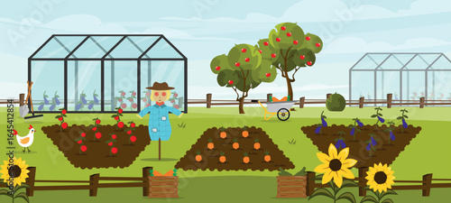 Vector illustration of a village vegetable garden, greenhouses. Cartoon scene of a vegetable garden with vegetables, greenhouses, garden wheelbarrow, scarecrow, shovel, rake, trees, bushes, boxes.