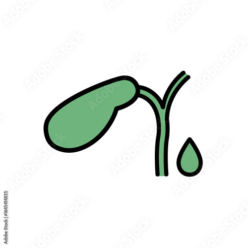 Gallbladder Medical Illustration: A clean, medical illustration of the gallbladder showcases its form, accompanied by a visual of a fluid drop, symbolizing the organ's function.