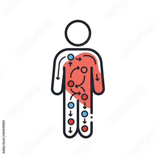 Human Body Blood Circulation Diagram: A simple and informative illustration of the human circulatory system, depicting the flow of blood through the body.