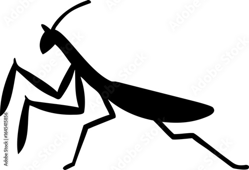 Side View of a Praying Mantis