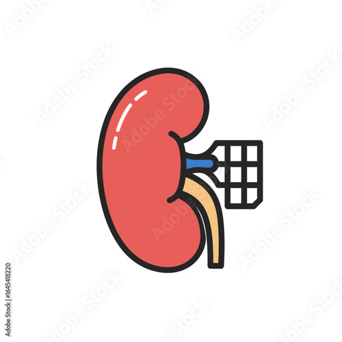 Healthy Kidney: A stylized illustration of a healthy kidney, meticulously designed with bright, clear lines to showcase its form. A clear image of the importance of this key organ.