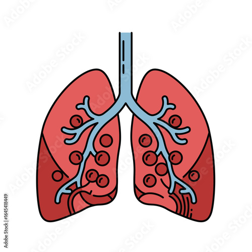 Human Lung Illustration: A detailed illustration depicting human lungs, highlighting the intricate network of bronchioles and alveoli in a medically accurate and visually appealing manner.