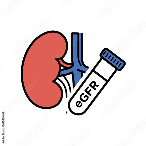 Kidney Health: A visual representation of renal well-being.