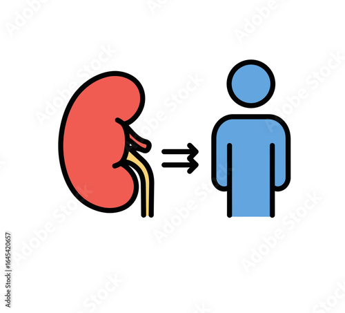 Kidney Health and Human Body: A conceptual illustration visualizing the kidney and its relation to the human figure. Emphasizing the kidney's significance in human health.
