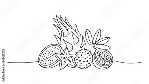 Tropical Fruits Continuous Line Drawing Vector Illustration