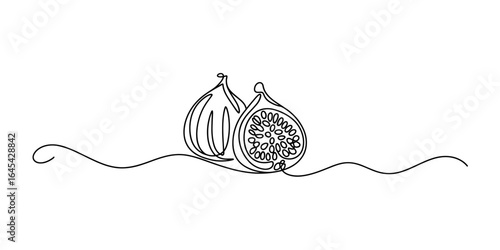 Whole and half fig fruit continuous line drawing vector illustration