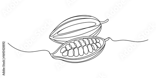 Whole and half cacao pod continuous line drawing vector illustration