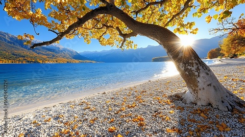 Autumnal Lake Scene With Golden Foliage And Sunlight