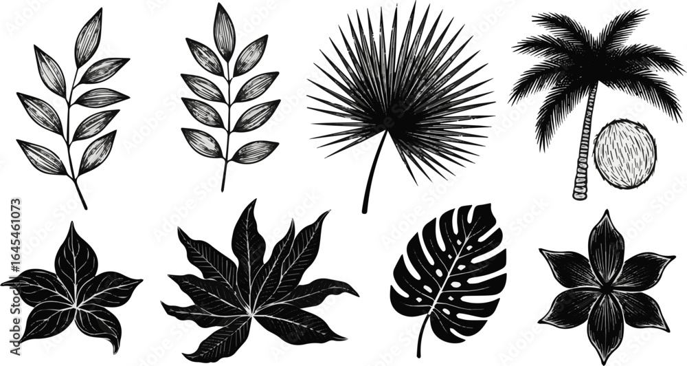 Fototapeta premium Create a kinds of deferent leaf, pattern, vector, flower, seamless, illustration, floral, nature, tree, design, set, plant, silhouette, autumn vector art with white background.