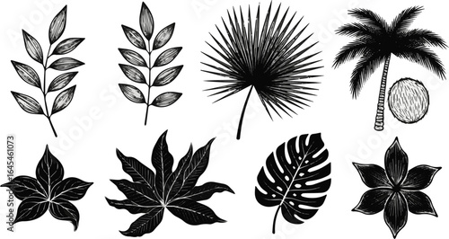 Create a kinds of deferent leaf, pattern, vector, flower, seamless, illustration, floral, nature, tree, design, set, plant, silhouette, autumn vector art with white background.