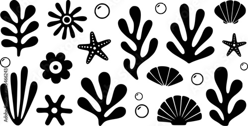 Black marine life and bubbles on white starfish seashell
