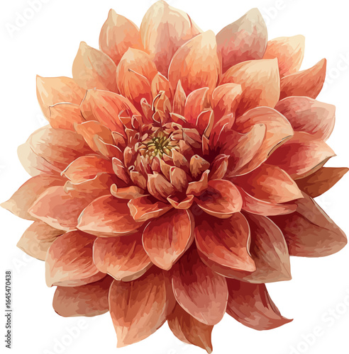 Vibrant watercolor artwork of a terracotta dahlia flower in lush full bloom - vector illustration
