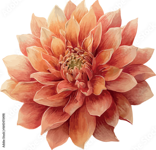 Detailed watercolor painting of a terracotta dahlia flower with layered petals and soft shading - vector illustration