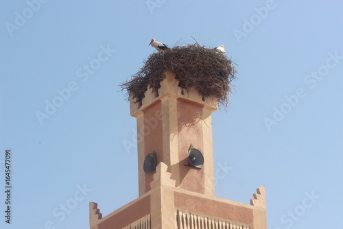 White stork nest on top of a mosque