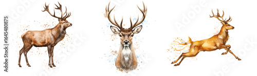 Three deer with antlers in different poses standing and jumping on a transparent background art piece