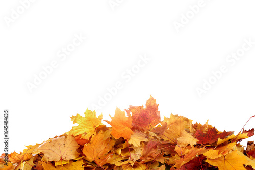  Falling autumn maple leaves isolated on transparent background