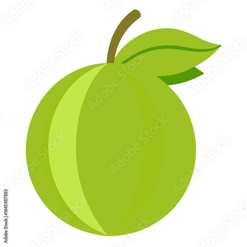 vector illustration of an fruit