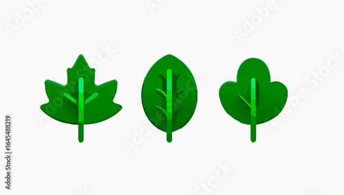 Three green leaves of different species on white background

