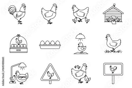 Chicken and Egg Farm Icons Set – Poultry, Hen, Rooster, Chicks, and Coop Illustrations