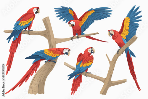 A cartoon vector illustration of a cute blue and yellow macaw parrot with a red beak sitting on a branch, isolated on a white background