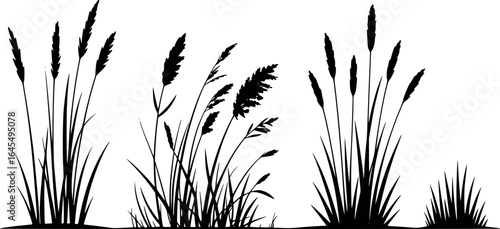 Tall grass reeds swaying in the wind stalks blades
