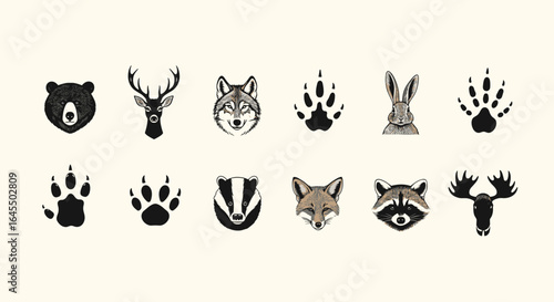 Illustration of various animal heads and paw prints including bear deer wolf and badger in black and white style