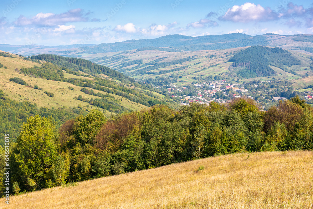 Fototapeta premium scenery with rural field on grassy hill of mountains. beautiful countryside landscape in ukrainian carpathians on a sunny day. provincial europe. scenic view of alpine pasture and distant valley