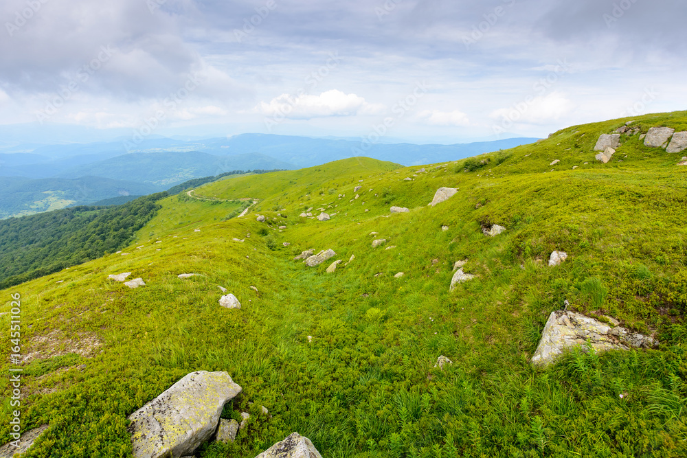 Naklejka premium beautiful nature in mountain of ukraine on a cloudy day. hiking environment with rock and grass on the hills. view from the top in to the distant valley