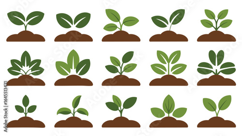 Plant Growth Stages:  A Collection of 15 Seedling Icons