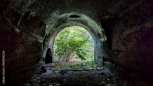 Light at the end of the tunnel. Stone brickwork arched entrance, trees in sunlight. Eerie darkness, shadows inside cave-like archway. Dark railway train tunnel, daylight foliage. Abandoned rail arch
