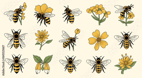 Illustration showing fifteen stylized honeybees and yellow flowers arranged in a grid pattern design