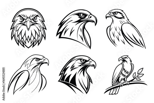 Powerful eagle emblems and heads conveying strength, focus, and fierce predatory spirit for bold branding and design projects