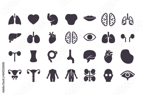 Human Organs Icon Set. Vector Medical Anatomy Symbols for Healthcare and Biology